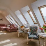 Hotel Paryski Art & Business - Basen Jacuzzi Sauna Malpi Gaj 4*