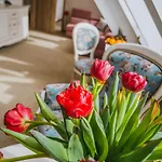 Paryski Art & Business - Basen Jacuzzi Sauna Malpi Gaj Hotel Zakopane