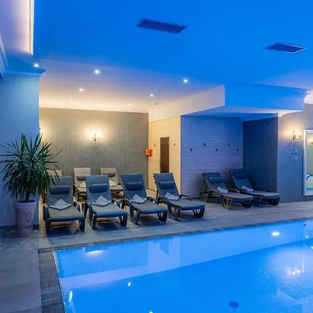 Hotel Paryski Art & Business - Basen Jacuzzi Sauna Malpi Gaj 4*
