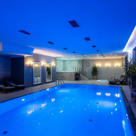 Paryski Art & Business - Basen Jacuzzi Sauna Malpi Gaj 4* Zakopane