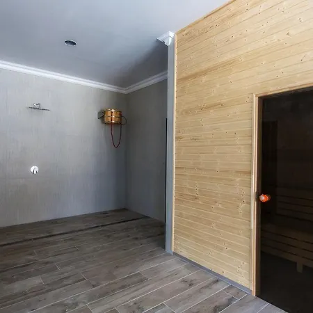 Hotel Paryski Art & Business - Basen Jacuzzi Sauna Malpi Gaj Zakopane