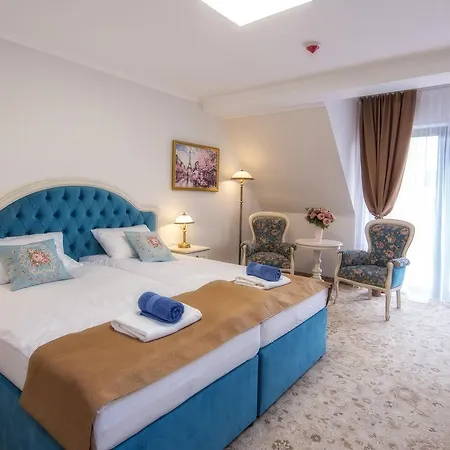 Hotel Paryski Art & Business - Basen Jacuzzi Sauna Malpi Gaj Zakopane
