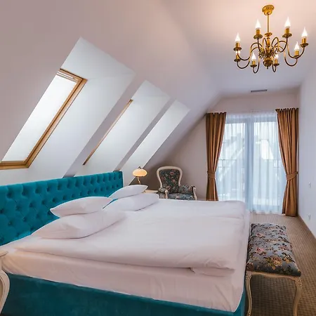 Paryski Art & Business - Basen Jacuzzi Sauna Malpi Gaj Zakopane