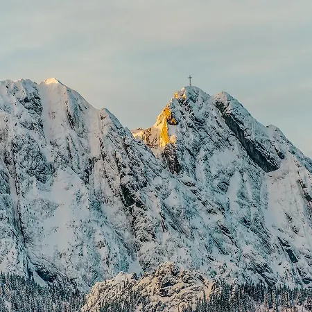 Paryski Art & Business - Basen Jacuzzi Sauna Malpi Gaj Zakopane