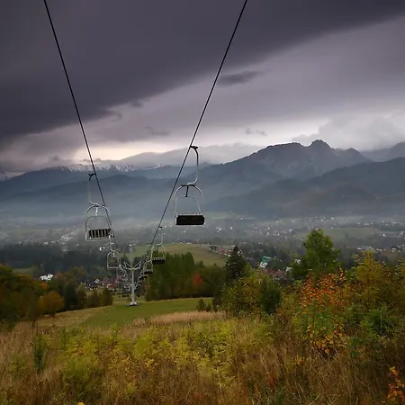 Paryski Art & Business - Basen Jacuzzi Sauna Malpi Gaj Zakopane