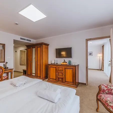 Hotel Paryski Art & Business - Basen Jacuzzi Sauna Malpi Gaj