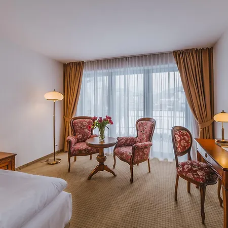 Hotel Paryski Art & Business - Basen Jacuzzi Sauna Malpi Gaj Zakopane