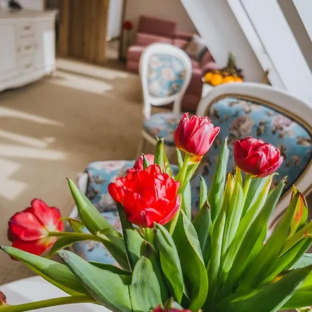 Paryski Art & Business - Basen Jacuzzi Sauna Malpi Gaj Hotel Zakopane