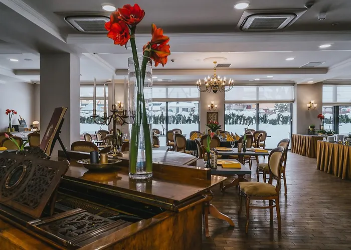 Hotel Paryski Art&business - Basen Jacuzzi Sauna Małpi Gaj Zakopane