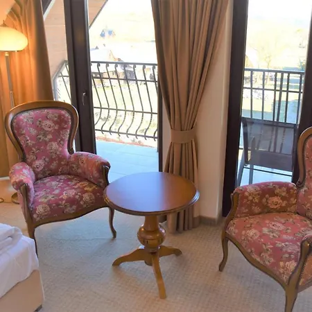 Hotel Paryski Art&business Zakopane