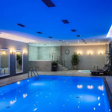 Paryski Art & Business - Basen Jacuzzi Sauna Malpi Gaj Hotel Zakopane