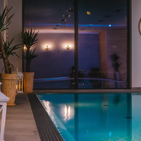 Paryski Art & Business - Basen Jacuzzi Sauna Malpi Gaj Zakopane