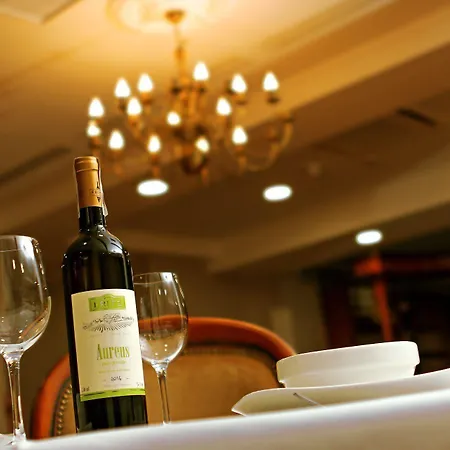 Paryski Art & Business - Basen Jacuzzi Sauna Malpi Gaj מלון