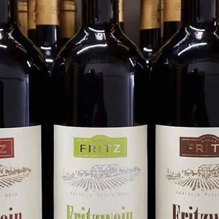 Paryski Art & Business - Basen Jacuzzi Sauna Malpi Gaj 4* זקופאנה