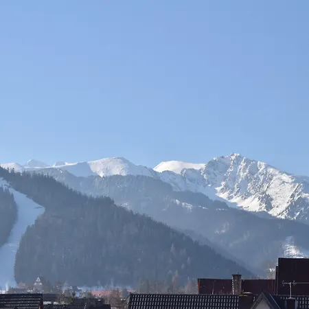 מלון Paryski Art & Business - Basen Jacuzzi Sauna Malpi Gaj זקופאנה