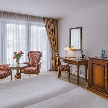 Paryski Art & Business - Basen Jacuzzi Sauna Malpi Gaj Zakopane