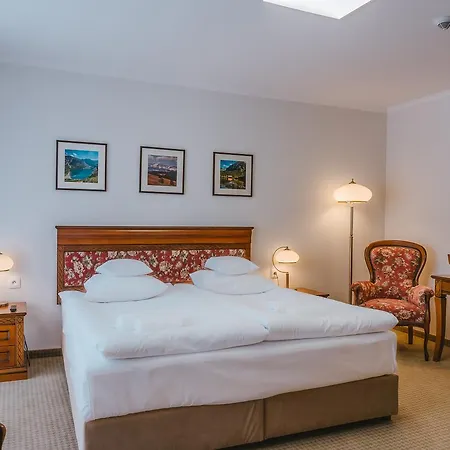 Paryski Art & Business - Basen Jacuzzi Sauna Malpi Gaj Zakopane