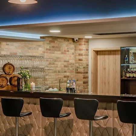 Hotel Paryski Art & Business - Basen Jacuzzi Sauna Malpi Gaj Zakopane