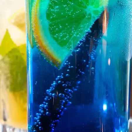 מלון Paryski Art & Business - Basen Jacuzzi Sauna Malpi Gaj 4*