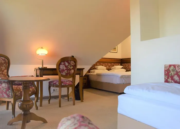 Paryski Art & Business - Basen Jacuzzi Sauna Malpi Gaj Zakopane