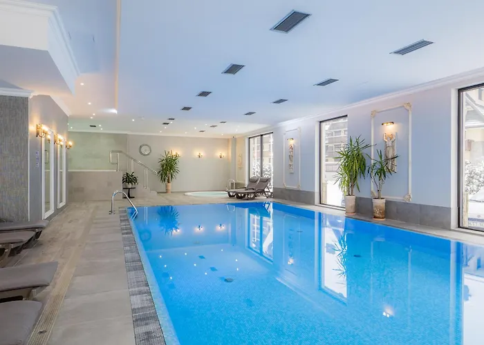 Paryski Art & Business - Basen Jacuzzi Sauna Malpi Gaj Hotel 4*