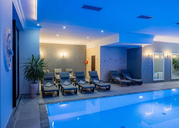 Hotel Paryski Art & Business - Basen Jacuzzi Sauna Malpi Gaj 4*