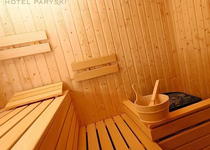 Hotel Paryski Art & Business - Basen Jacuzzi Sauna Malpi Gaj