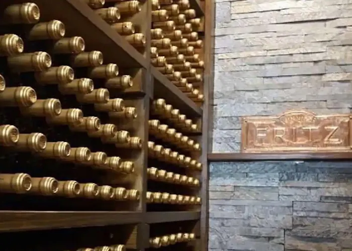 Paryski Art & Business - Basen Jacuzzi Sauna Malpi Gaj Hotel