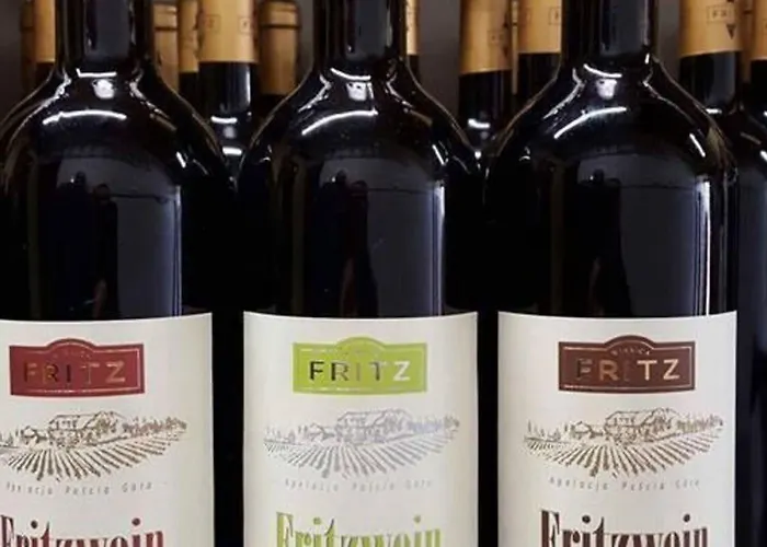 Paryski Art & Business - Basen Jacuzzi Sauna Malpi Gaj 4* Zakopane