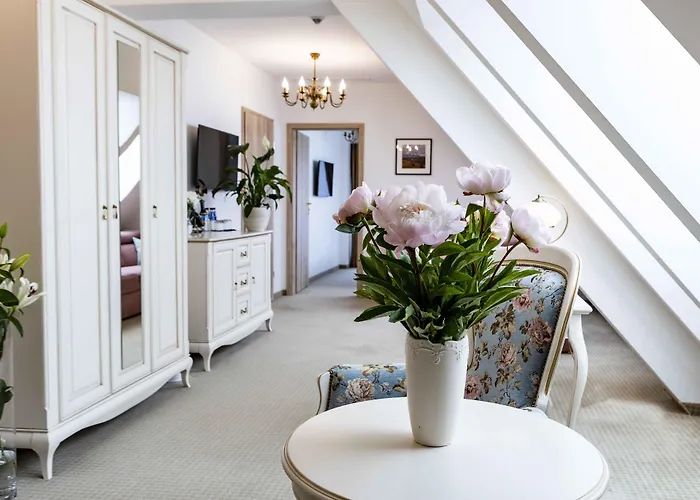 Hotel Paryski Art & Business - Basen Jacuzzi Sauna Malpi Gaj 4*