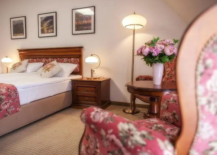 Hotel Paryski Art & Business - Basen Jacuzzi Sauna Malpi Gaj