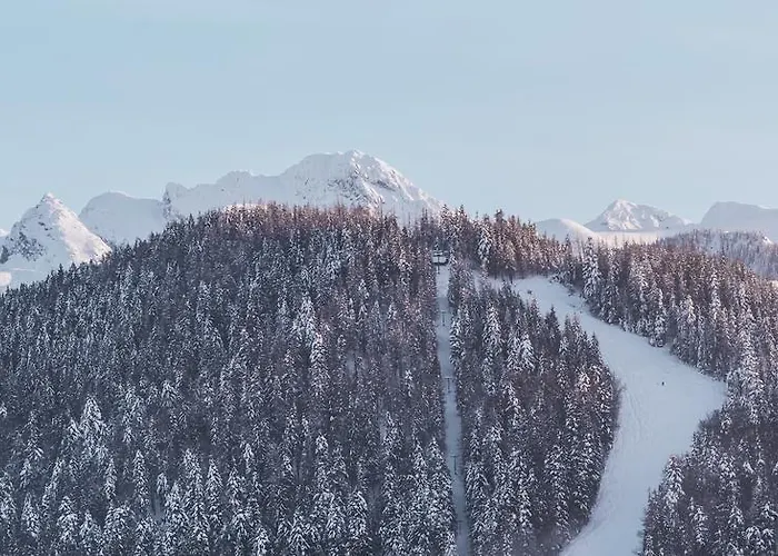 Hotel Paryski Art & Business - Basen Jacuzzi Sauna Malpi Gaj Zakopane