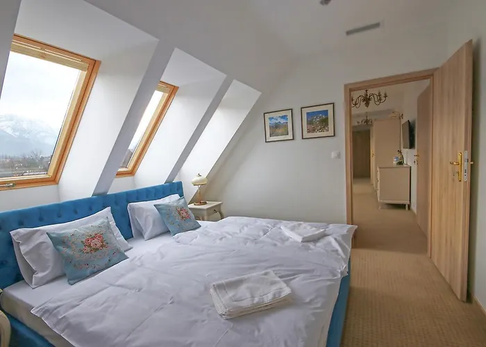 Paryski Art & Business - Basen Jacuzzi Sauna Malpi Gaj Zakopane